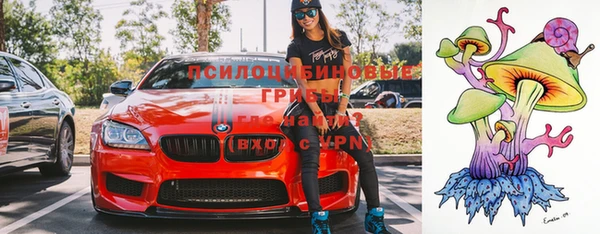 прущие крисы Михайловск