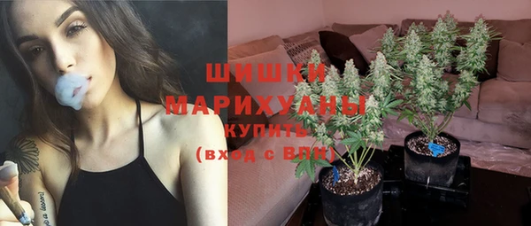 прущие крисы Михайловск