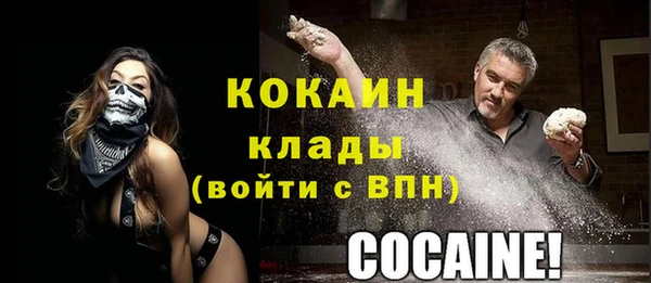 эйфоретик Михайлов